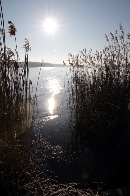 Fontane Therme am Ruppiner See