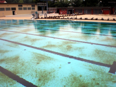 Рейхенбах круг бассейн пыли изображение